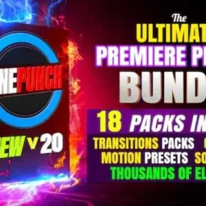 CINEPUNCH BUNDLE v20 ? Transitions I Color LUTs I SFX ? 18 PACKS ? 9999+ Assets