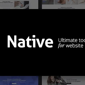 Native ? Stylish Multi-Purpose Creative WP Theme